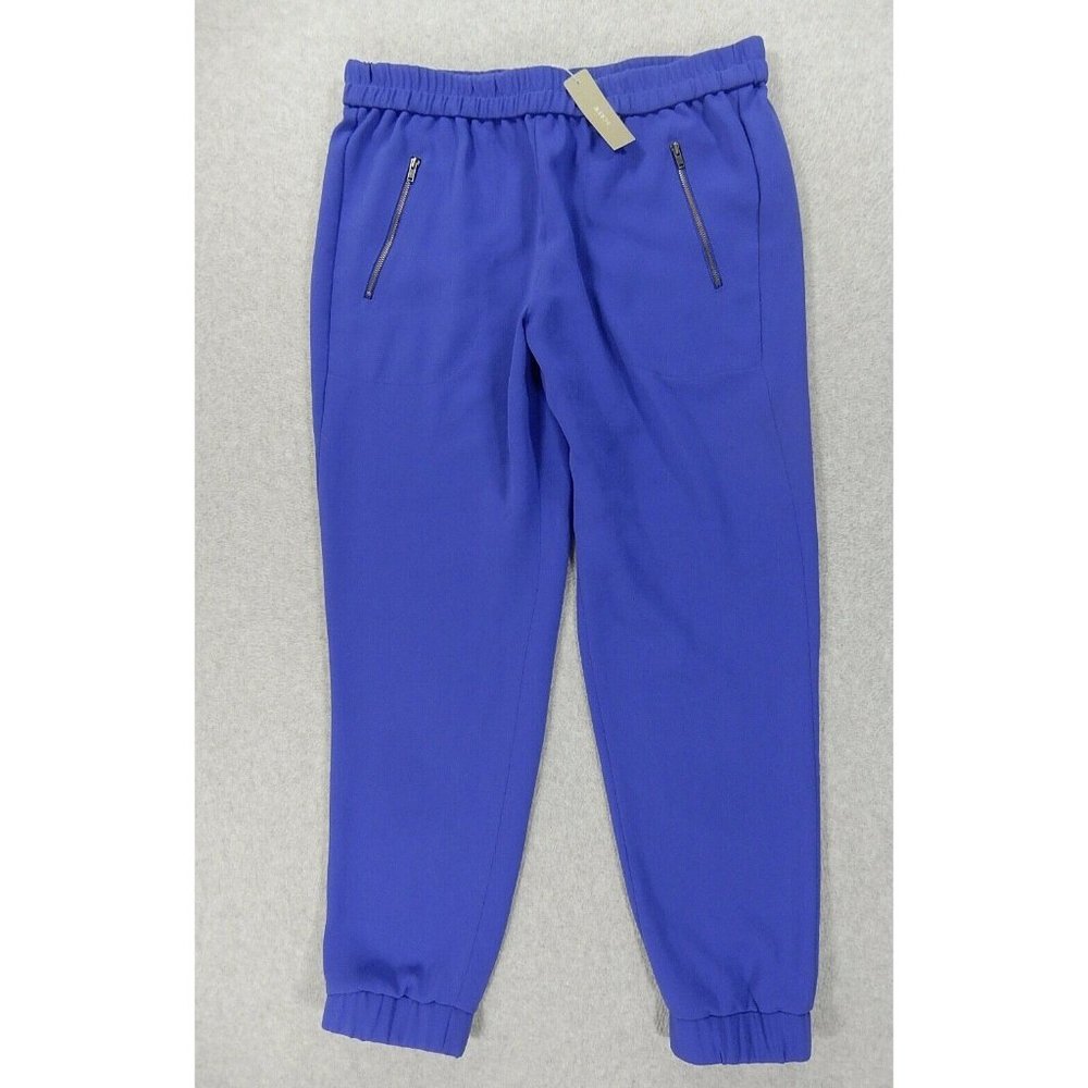 J. Crew Factory Blue Jogger Pants